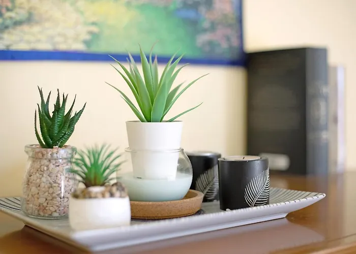 Casa Paco 2 コスタ・カルマ